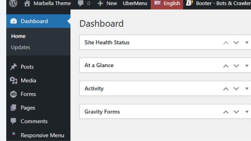 Go to your website dashboard